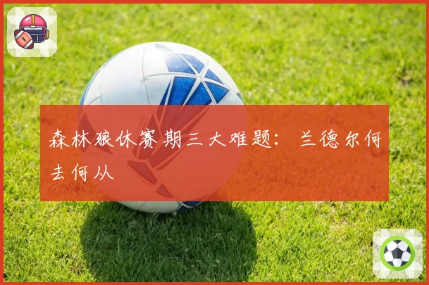 森林狼休赛期三大难题：兰德尔何去何从