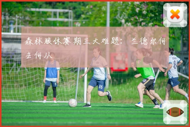 森林狼休赛期三大难题:兰德尔何去何从