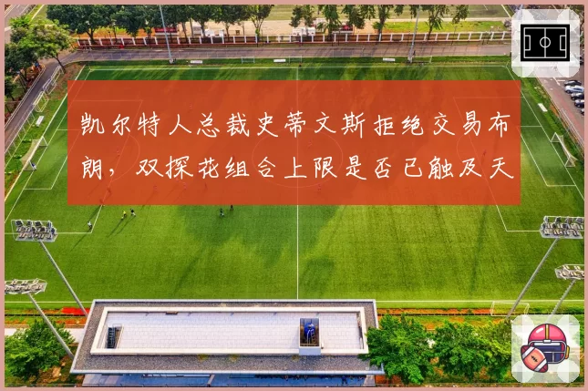 凯尔特人总裁史蒂文斯拒绝交易布朗，双探花组合上限是否已触及天花板？