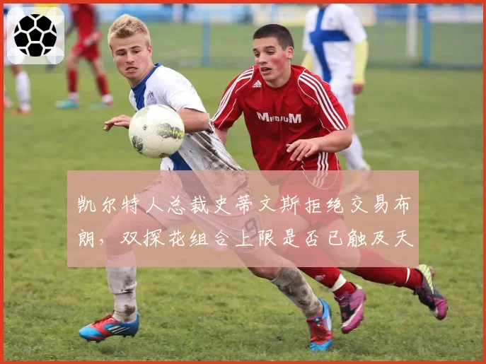 凯尔特人总裁史蒂文斯拒绝交易布朗,双探花组合上限是否已触及天花板?